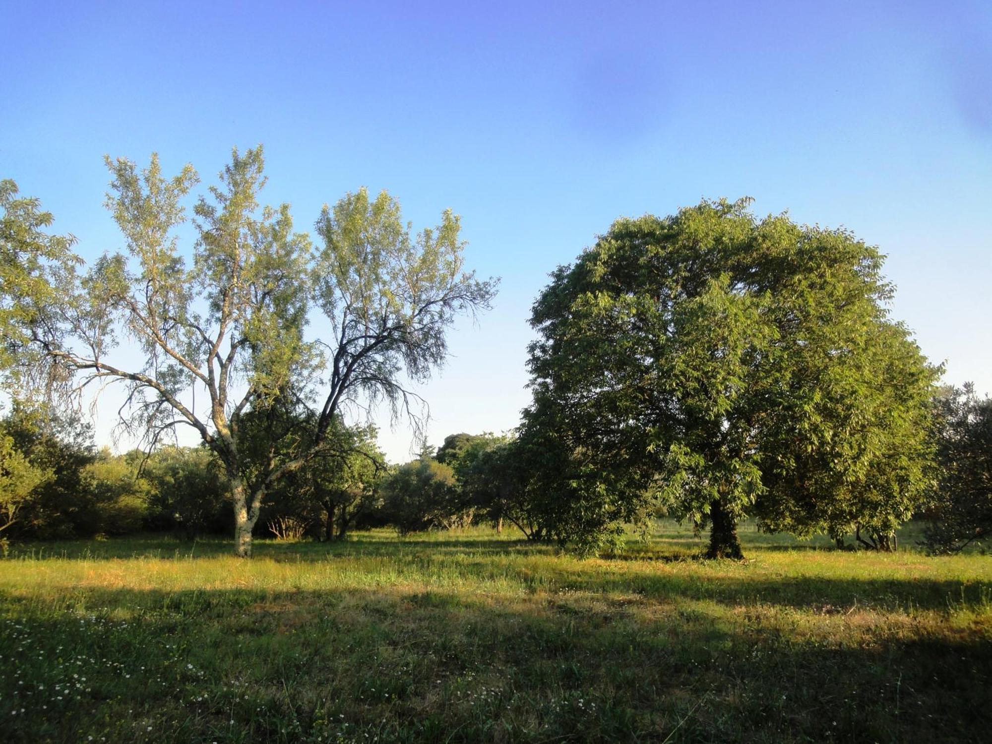 Apartmán Les Olives Uzès Exteriér fotografie